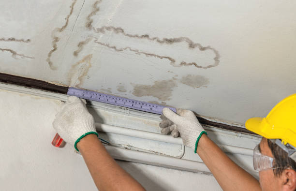 Reliable Mold Remediation contractor in Cuney, TX by Water Damage Irwin